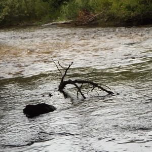 Meet your Posher, Destiny